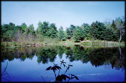 LaGrange - View of Duck Pond