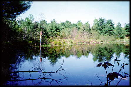 LaGrange - View of Duck Pond